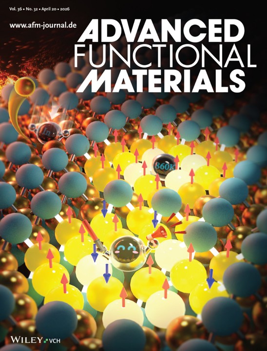 Advanced Funtional Materials journal cover