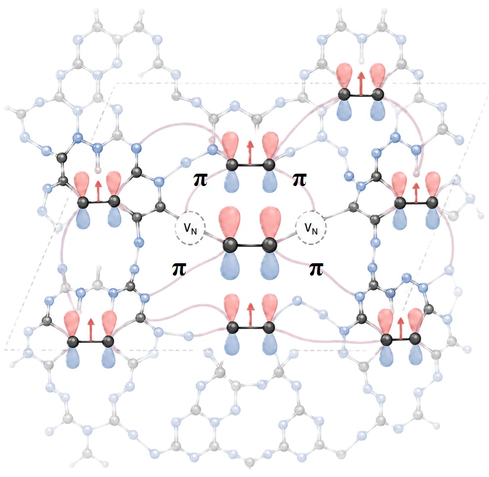 Molecular structure and spin polarization in low-dimensional materials