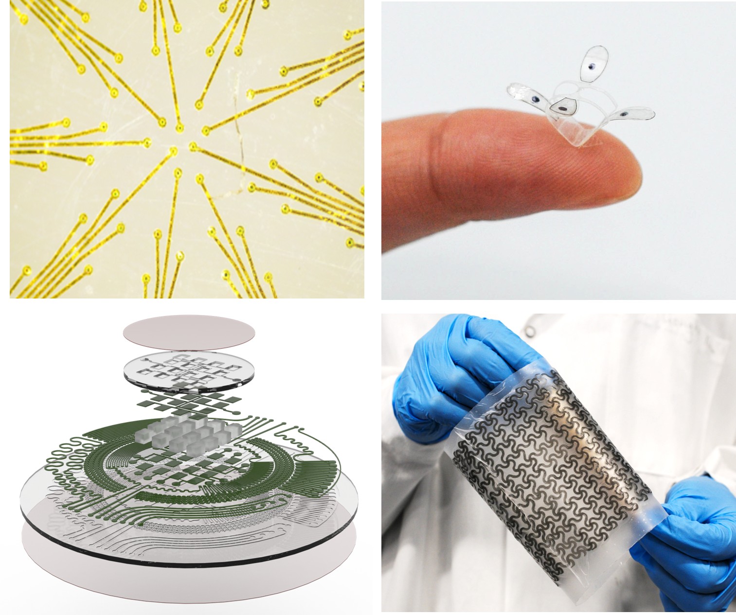 Flexible and biointegrated electronics research