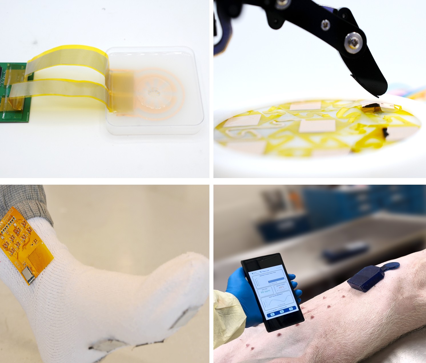 Intelligent biomedical solutions research